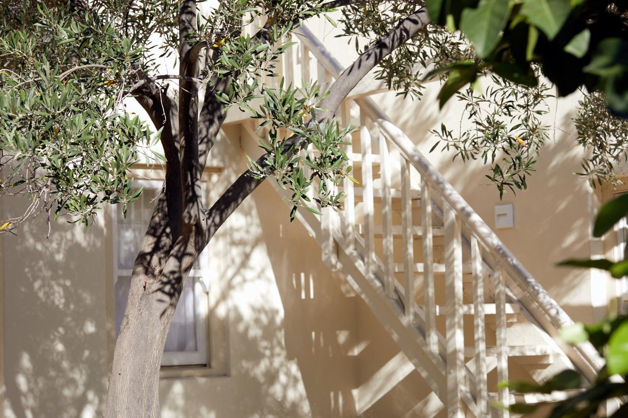 Prince Albert Country Stay Extérieur photo